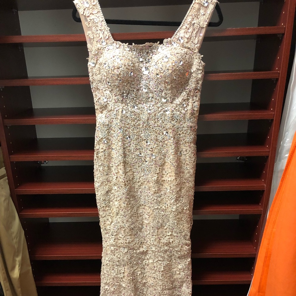 Nude lace gown with Swarovski crystals